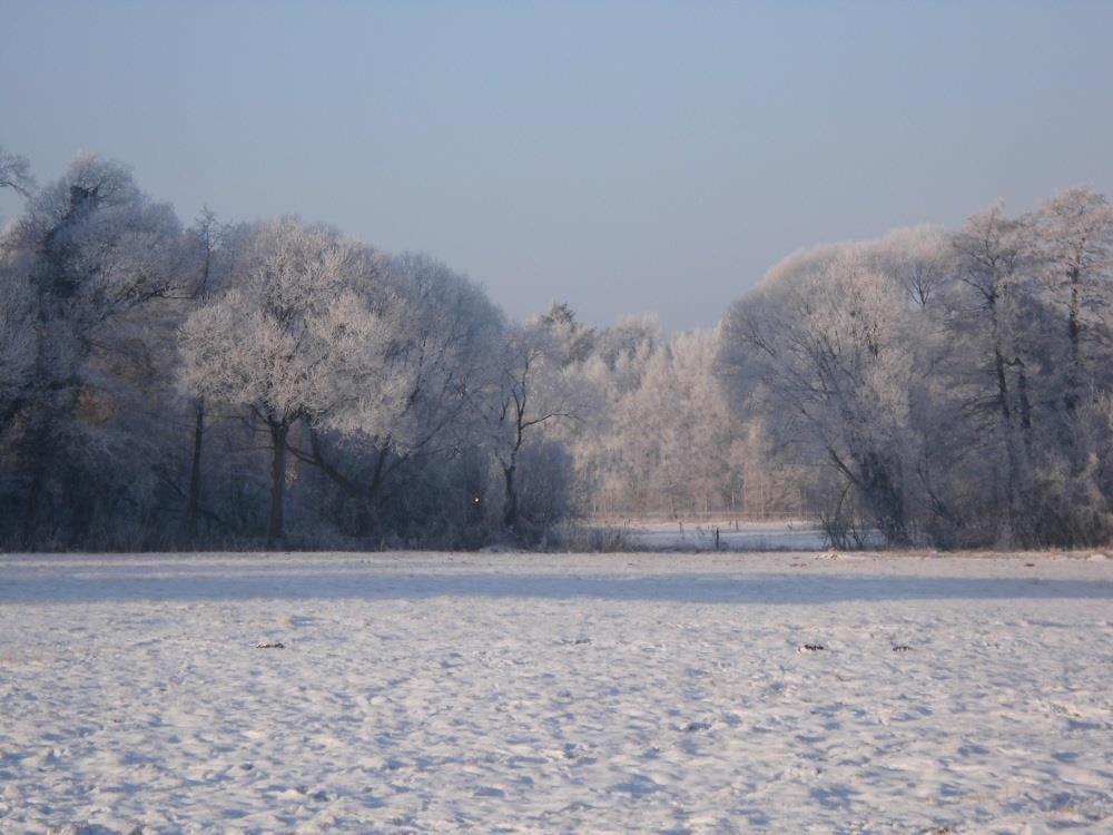 Ferienwohnungen Poettker Bad Zwischenahn Exterior foto